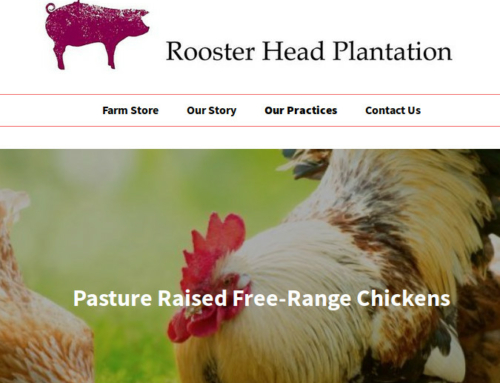 Rooster Head Plantation