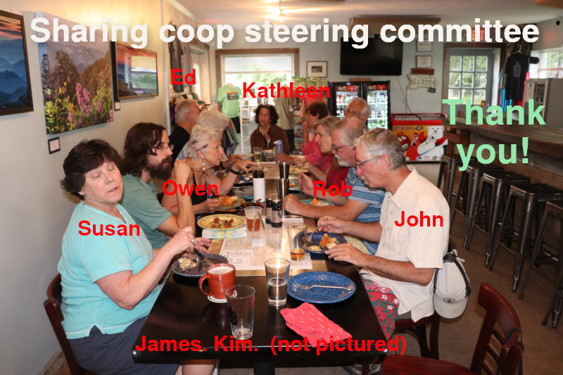 Steering committee